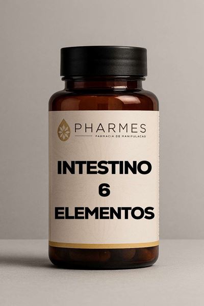 Intestino 6 Elementos