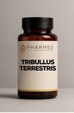 Tribullus Terrestris 500mg -  60 Cápsulas