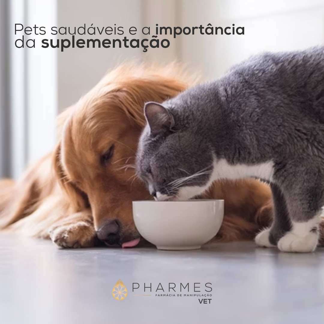 Saúde animal e suplementação