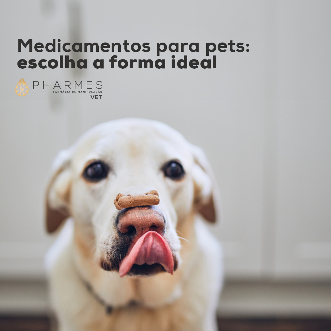 Formas farmacêuticas na veterinária