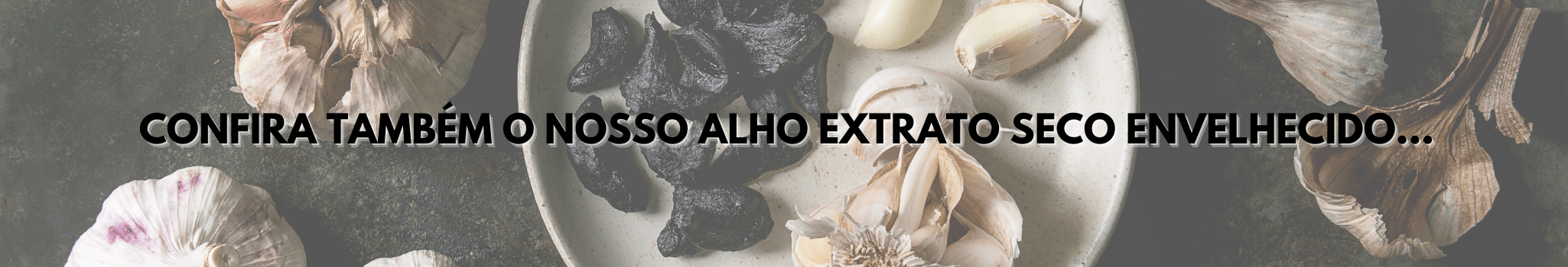 alho-envelhecido