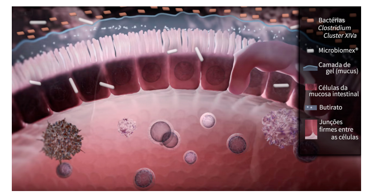 microbiomex